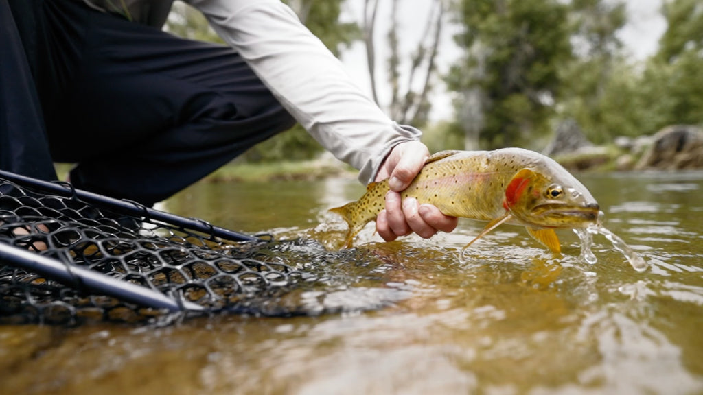 VIDEO: Secret Waters | Fly Fishing in a Flycraft for big cut throat