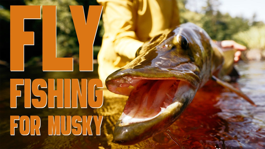 VIDEO: Musky Fly Fishing in Wisconsin: Chasing Summer Muskies from an Inflatable Drift Boat