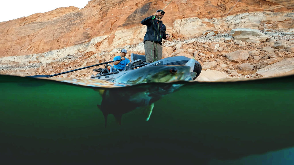 Video: Motoring in Your Flycraft & Incredible Fall Bass Fishing