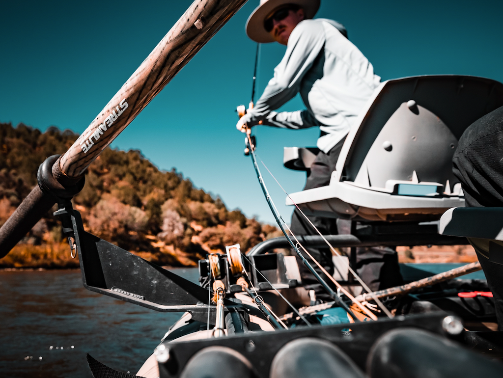 VIDEO: Why having more rods means catching more fish