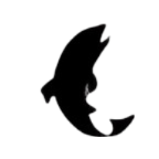 FLYCRAFT USA logo